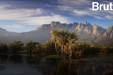 Socotra, hòn đảo kỳ diệu