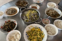 Ngon khó cưỡng nếm thử món lẩu cá linh bông điên điển chỉ có ở miền Tây