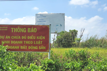 Long An chỉ đạo khẩn ngăn ngừa tình trạng sốt đất ảo, dự án "ma"