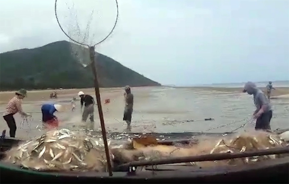 Trúng mẻ cá trích chính vụ, ngư dân thu cả chục triệu đồng/ngày - 1 Trúng mẻ cá trích chính vụ, ngư dân thu cả chục triệu đồng/ngày - 1