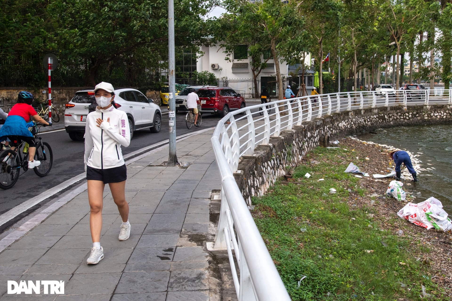 Công nhân môi trường mỗi ngày vớt, dọn hơn 1 tấn cá chết ở hồ Tây - 6 Công nhân môi trường mỗi ngày vớt, dọn hơn 1 tấn cá chết ở hồ Tây - 6