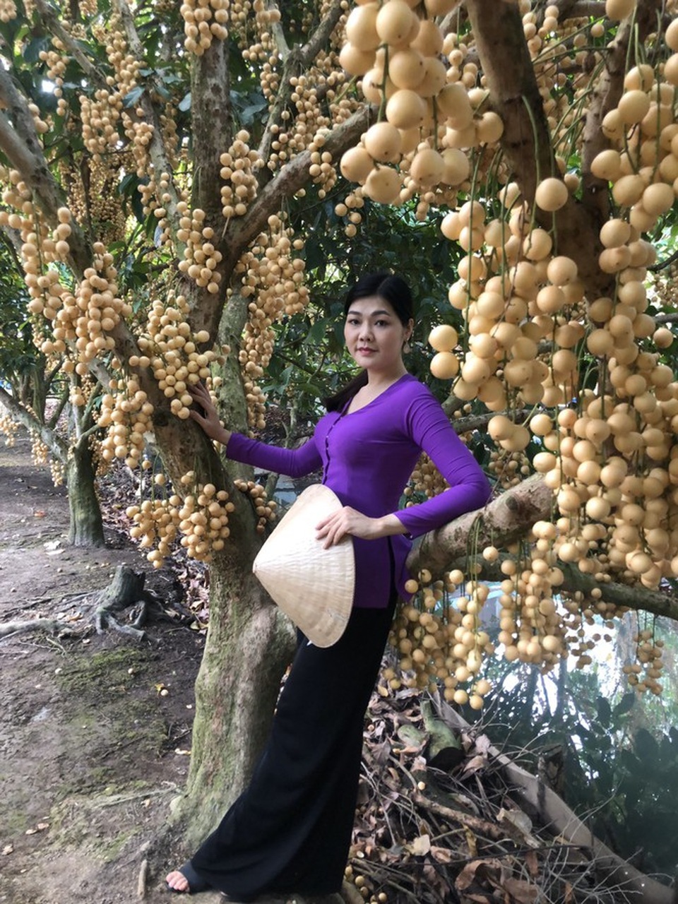 Đã mắt với vườn dâu trái từ gốc đến ngọn ở miền Tây - 2 Đã mắt với vườn dâu trái từ gốc đến ngọn ở miền Tây - 2