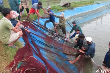 Dân ven biển và nỗi lo bão đến