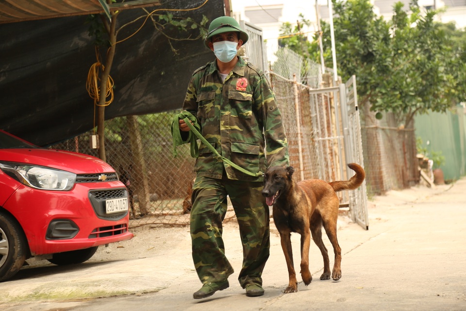Hà Nội: Thu nhập 20-30 triệu đồng/tháng từ nghề huấn luyện chó - 1 Hà Nội: Thu nhập 20-30 triệu đồng/tháng từ nghề huấn luyện chó - 1