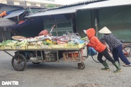 Lo phong tỏa, tiểu thương chợ đầu mối lớn nhất Nghệ An cấp tập sơ tán hàng