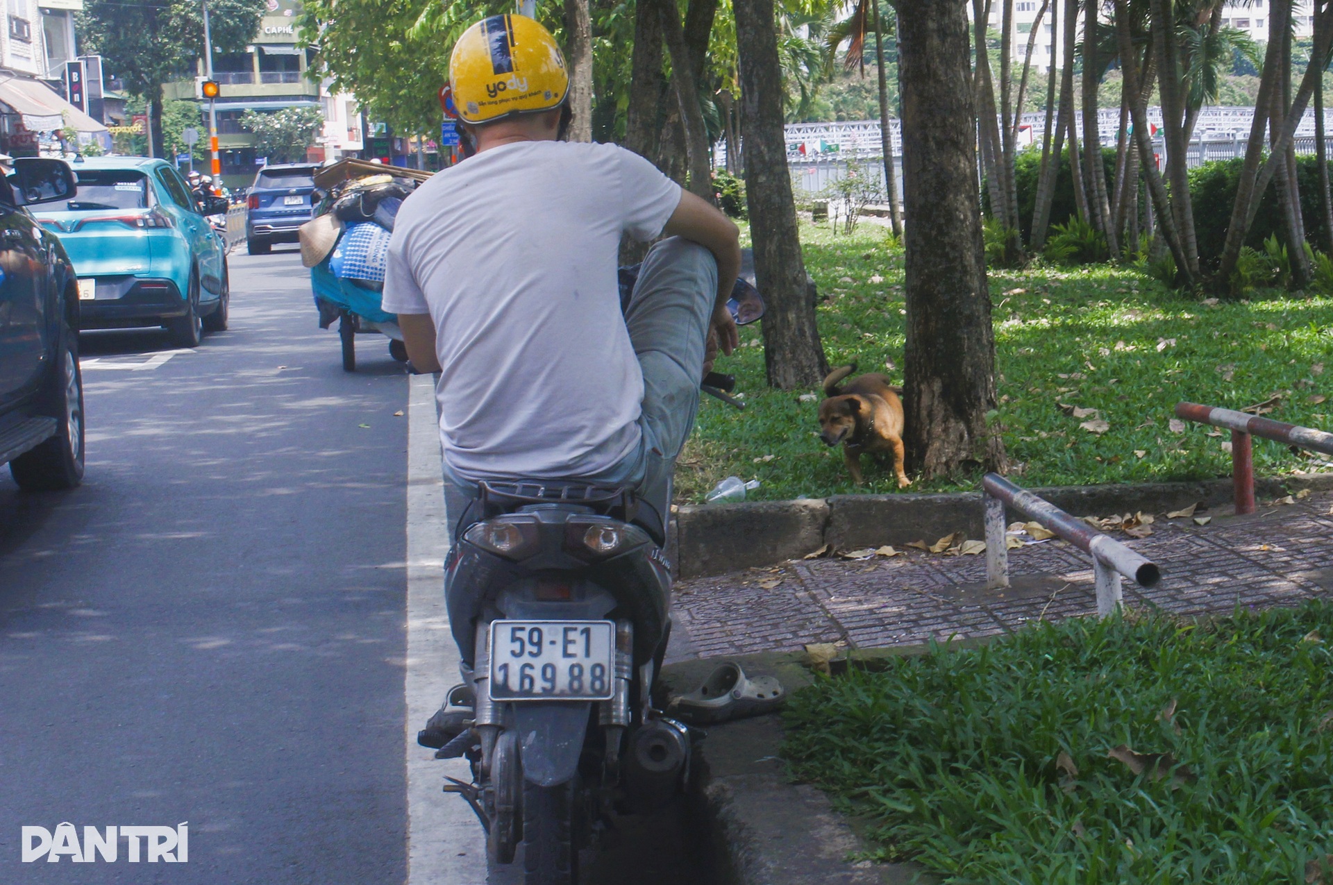 Nỗi ám ảnh từ chó không rọ mõm, phóng uế bừa bãi ở TPHCM - 8