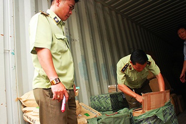 Phát hiện gần 8.000 thùng sữa nhập lậu “núp bóng” trong 3 container