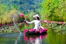 Hà Nội duyệt quy hoạch tuyến cáp treo nối chùa Hương với di tích ở Hòa Bình