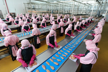 Lao động đi làm việc tại Hàn Quốc được vay vốn 100 triệu đồng để ký quỹ