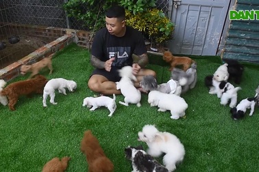 Bỏ việc văn phòng, 8x mua nhà tậu xe nhờ nuôi loại chó "càng nhẹ càng đắt"