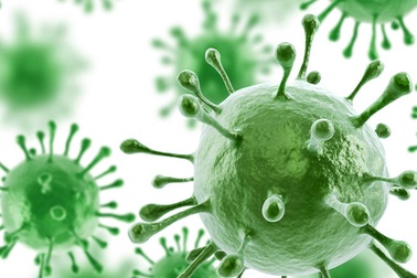 Lập danh sách 12 loại vi khuẩn đe dọa loài người