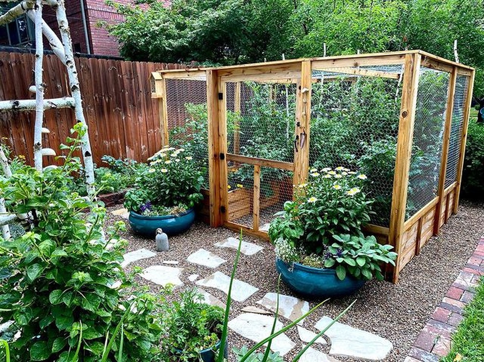 Vườn rau sạch đủ loại hái không xuể, mẹ đảm chia cho cả hàng xóm - 2