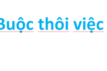 Không chấp hành phân công, một nữ giáo viên bị buộc thôi việc