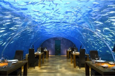 10 nhà hàng kỳ quặc nhất thế giới 