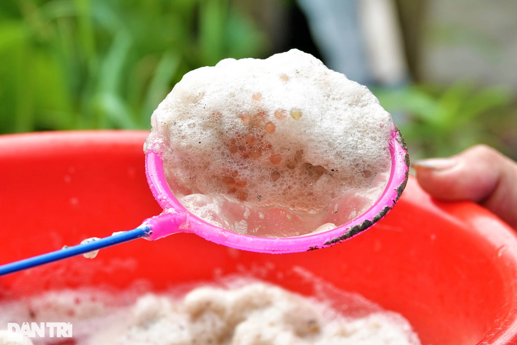 8X chế máy ấp trứng lươn giá 3 tô phở, cứ 5 ngày lại thu tiền triệu - 3 8X chế máy ấp trứng lươn giá 3 tô phở, cứ 5 ngày lại thu tiền triệu - 3