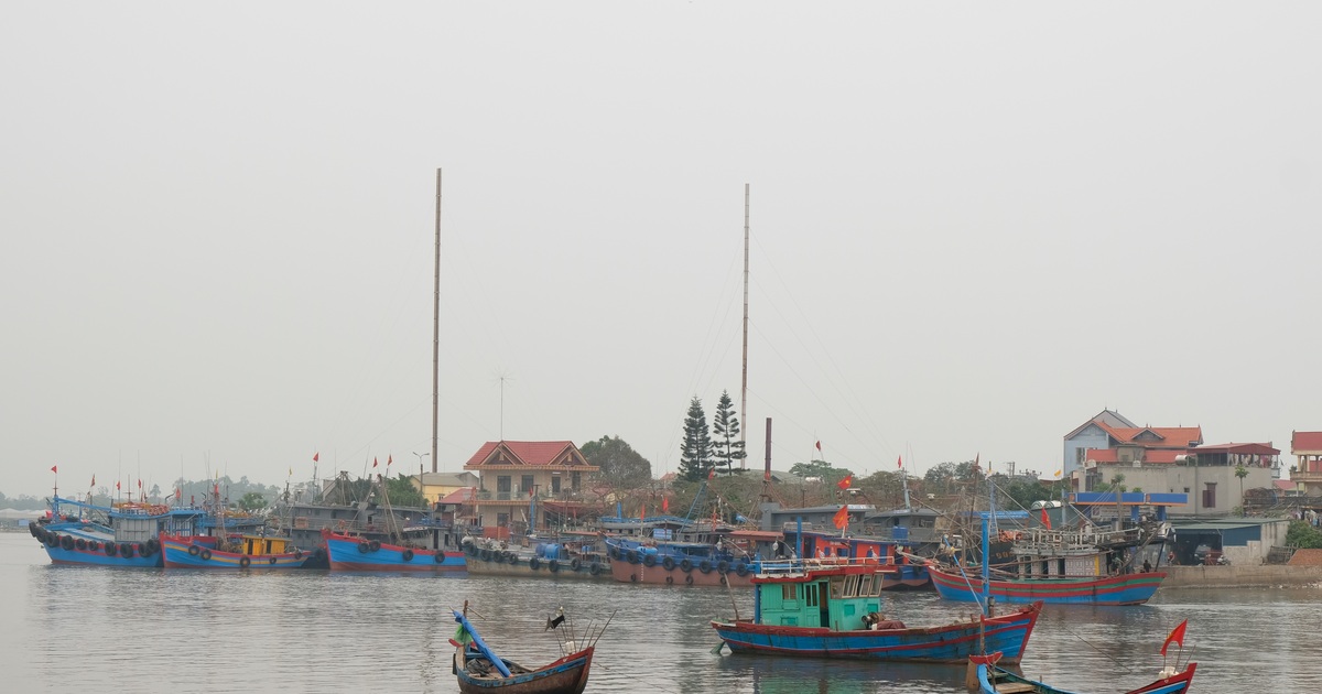 dantri.com.vn