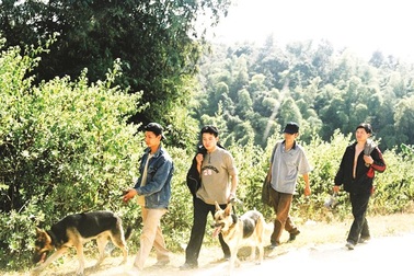 Theo cảnh khuyển "phá án" nơi đại ngàn