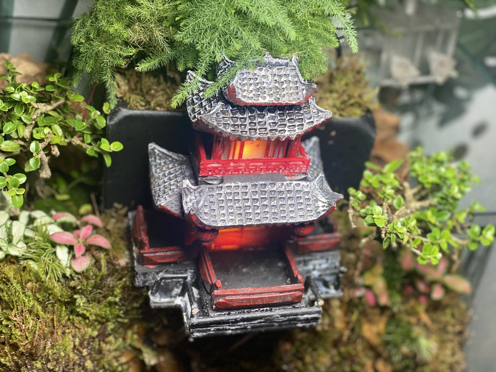 Chàng trai đem sự bình yên vào không gian sống bằng tiểu cảnh - 2 Chàng trai đem sự bình yên vào không gian sống bằng tiểu cảnh - 2