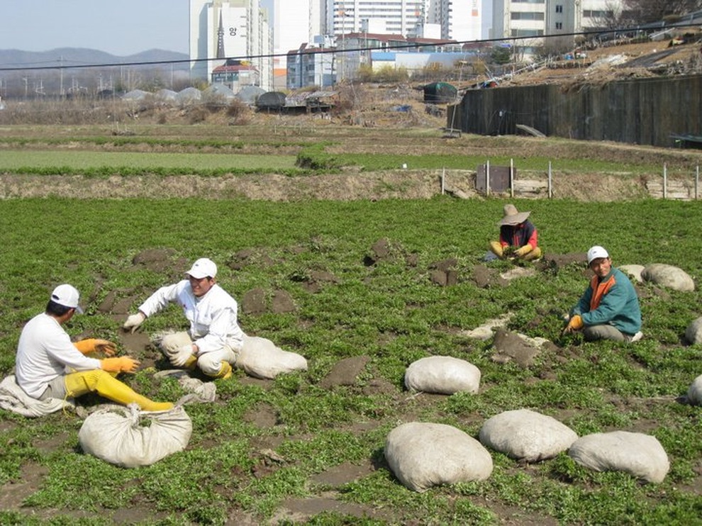 Giảm nghèo bền vững nhờ xuất khẩu lao động - 1 Giảm nghèo bền vững nhờ xuất khẩu lao động - 1