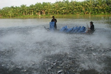 Hỗ trợ 9.000 tỷ đồng, mừng ít lo nhiều