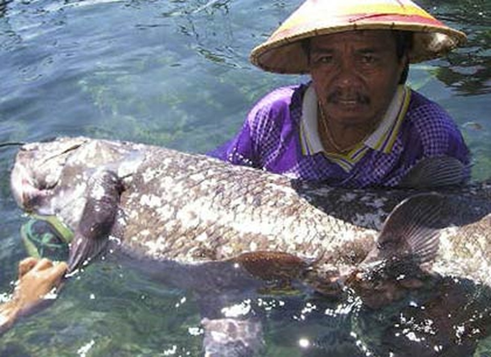 Cá cổ đại 420 triệu năm tưởng như tuyệt chủng, bất ngờ được tìm thấy - 3 Cá cổ đại 420 triệu năm tưởng như tuyệt chủng, bất ngờ được tìm thấy - 3