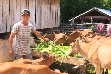 Phú Yên: Tạo sinh kế giúp đồng bào dân tộc thiểu số thoát nghèo bền vững