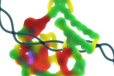 Lần đầu tiên phát triển thành công enzym ligase mới