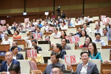 Những con số "kỷ lục" trong phiên chất vấn Thủ tướng và 21 tư lệnh ngành