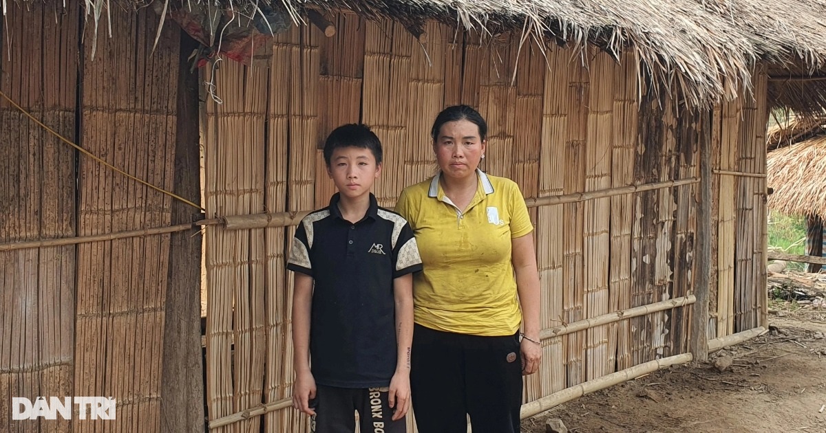 dantri.com.vn