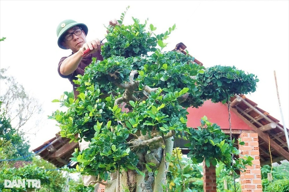 Người thổi hồn vào những gốc duối, ổi, me, bồ đề - 1 Người thổi hồn vào những gốc duối, ổi, me, bồ đề - 1
