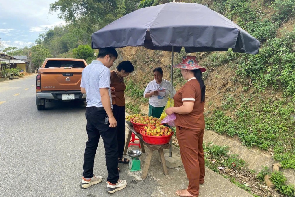 Nông dân thu nửa triệu đồng mỗi buổi nhờ loại quả trồng ở sườn đồi - 3 Nông dân thu nửa triệu đồng mỗi buổi nhờ loại quả trồng ở sườn đồi - 3
