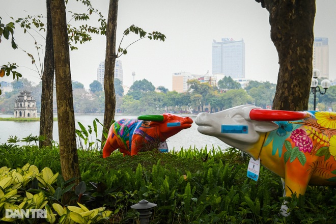 Hà Nội khoác áo mới rực rỡ chào đón Tết Tân Sửu 2021 - 8 Hà Nội khoác áo mới rực rỡ chào đón Tết Tân Sửu 2021 - 8