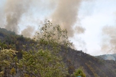 Hàng chục ha rừng tại Thanh Hóa tiếp tục bốc cháy