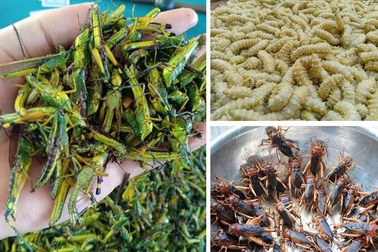 Đặc sản miền quê "chu du" trên bàn nhậu, khách muốn ăn phải xếp hàng chờ