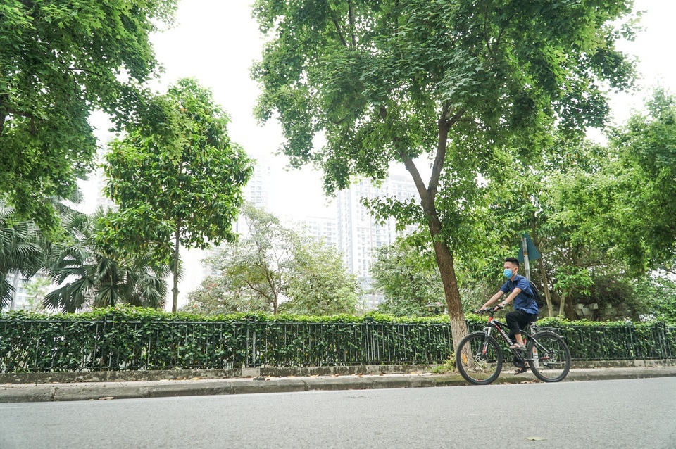 Còn một hàng phong vẫn xanh tốt, đẹp lãng mạn ở Hà Nội? - 6 Còn một hàng phong vẫn xanh tốt, đẹp lãng mạn ở Hà Nội? - 6