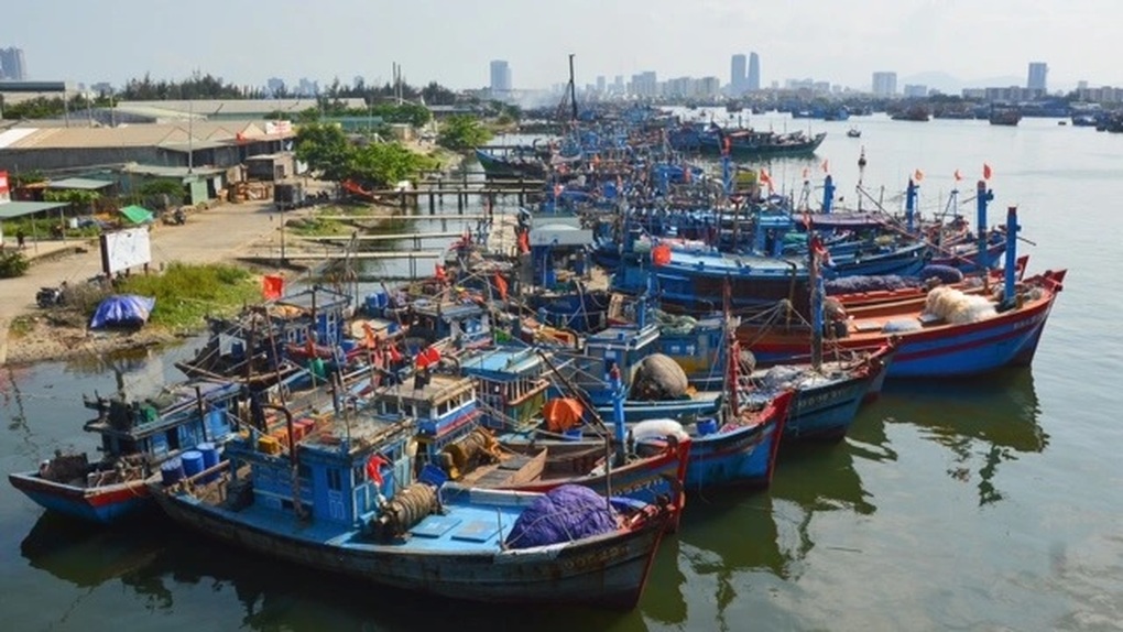Bộ Nông nghiệp đang chạy nước rút gỡ thẻ vàng cho thủy sản - 1 Bộ Nông nghiệp đang chạy nước rút gỡ thẻ vàng cho thủy sản - 1