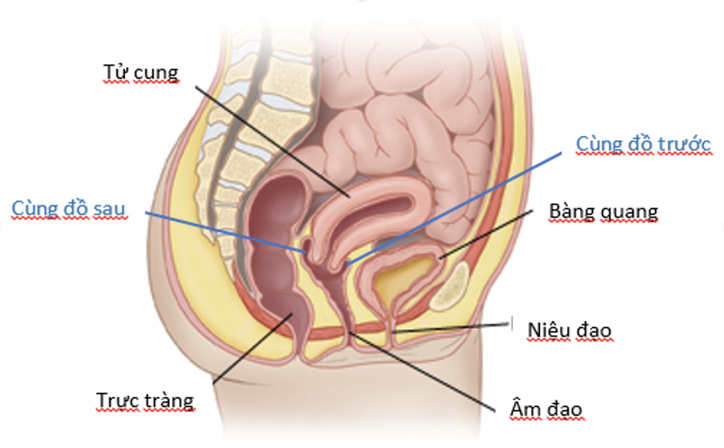 Chị em rách, thủng vùng kín sau khi quan hệ tình dục: Tai nạn chết người - 2 Chị em rách, thủng vùng kín sau khi quan hệ tình dục: Tai nạn chết người - 2