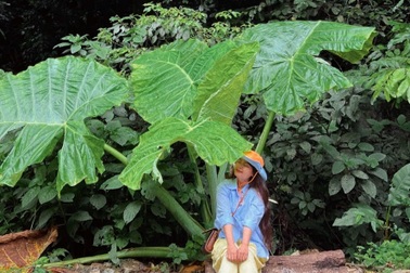 2 ngày 1 đêm "chữa lành" ở Ninh Bình: Khách bất ngờ vì cảnh đẹp, đồ ăn ngon