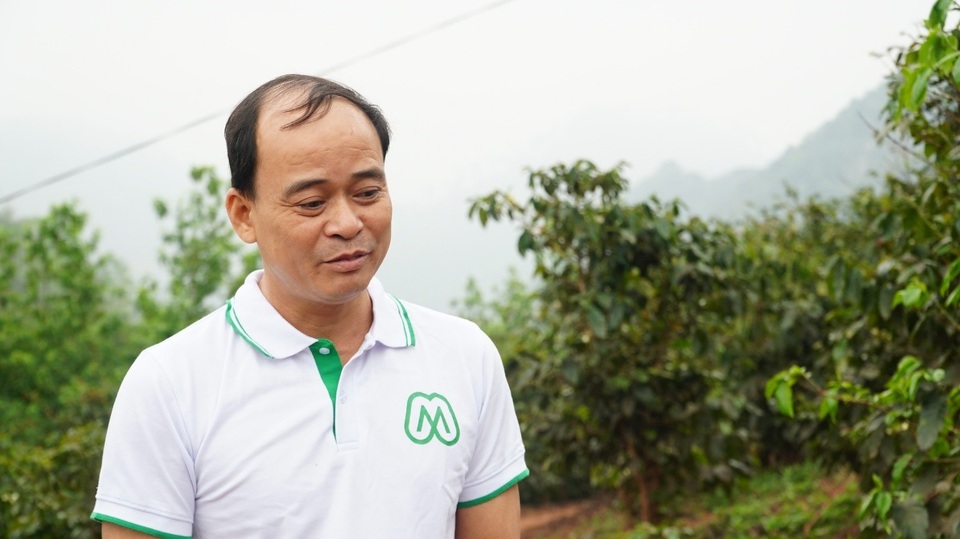 Người đàn ông bỏ phố về quê, dành trọn tình yêu cho hạt cà phê Sơn La - 6 Người đàn ông bỏ phố về quê, dành trọn tình yêu cho hạt cà phê Sơn La - 6