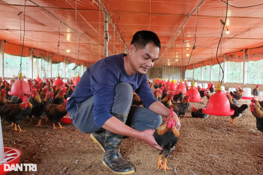 Cặp vợ chồng trẻ kiếm tiền tỷ trên vùng đất khó nhờ "lối đi riêng"