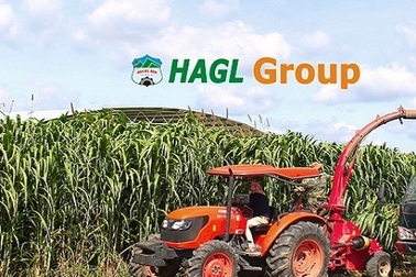 Bầu Đức bác tin đồn hủy niêm yết trong bối cảnh giá cổ phiếu lao dốc