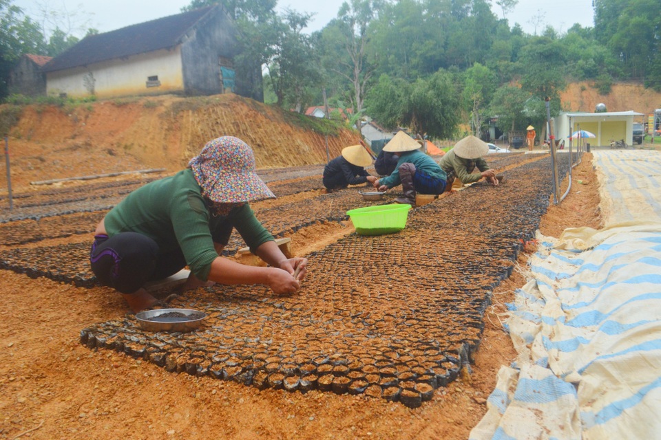 Ngồi chơi nghịch đất, kiếm 200.000 đồng/ngày - 3 Ngồi chơi nghịch đất, kiếm 200.000 đồng/ngày - 3
