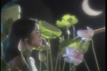 Ca sĩ Hồng Nhung hát "Đóa hoa vô thường"