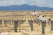 Xử phạt 3 nhà máy điện mặt trời