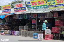 "Địa ngục chim trời" lớn nhất miền Tây trước khi thành trạm dừng chân