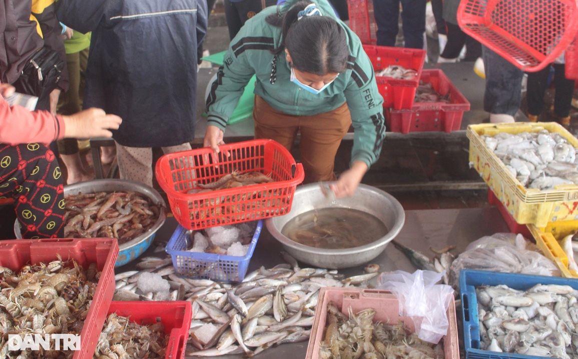 Ngày đầu năm nhộn nhịp tại cảng cá lớn nhất Nghệ An - 8