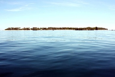 Vàng ở đảo giấu vàng