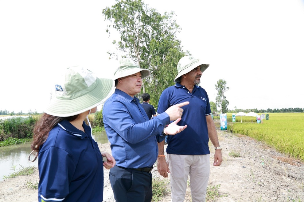 Thành tựu sau một năm triển khai mô hình canh tác lúa bền vững ForwardFarming - 1 Thành tựu sau một năm triển khai mô hình canh tác lúa bền vững ForwardFarming - 1