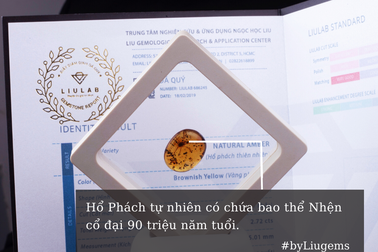 Liugems chia sẻ 6 phương pháp nhận biết Hổ phách tự nhiên và nhân tạo
