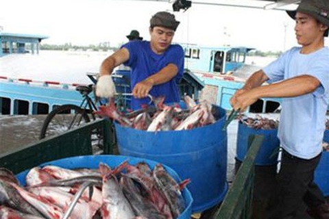 VASEP yêu cầu WWF công khai các chỉ số đánh giá cá tra